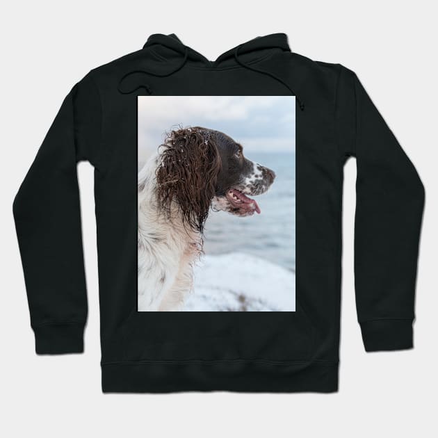 English Springer Spaniel looking out to Sea Hoodie by Robert john